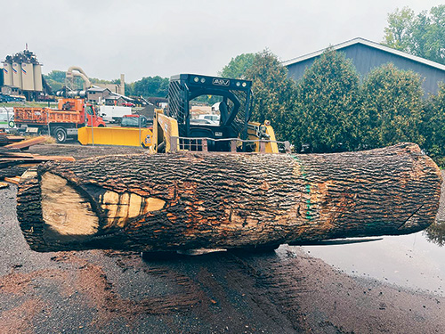 Moving large log with a loader