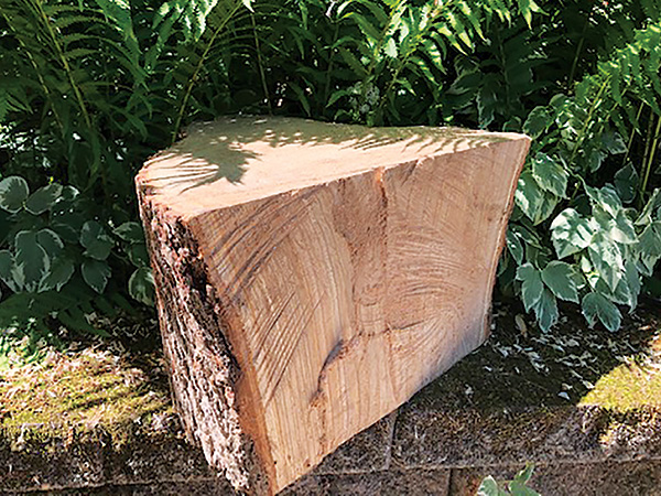The Benefits of Splitting Green Wood - Timber Works Tree Care